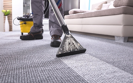 Carpet Care and Cleaning Services